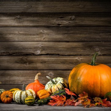 Pumpkin Thanksgiving Day Photography Background Grey Wood Wall Backdrops
