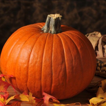 Pumpkin Red Leaves Photography Backdrops Thanksgiving Day Black Background