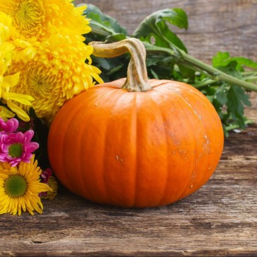 Pumpkin Yellow Flowers Photography Backdrops Thanksgiving Day Brown Wood Floor Background