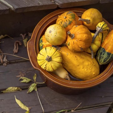 Pumpkin Grey Wood Floor Photography Backdrops Thanksgiving Day Background