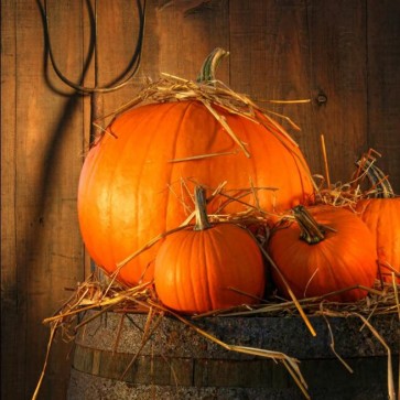 Pumpkin Barrel Photography Background Thanksgiving Day Brown Wood Wall Backdrops