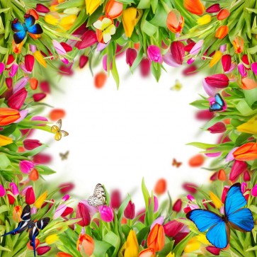 Photography Backdrops Tulips Flowers Butterfly Background For Photo Studio