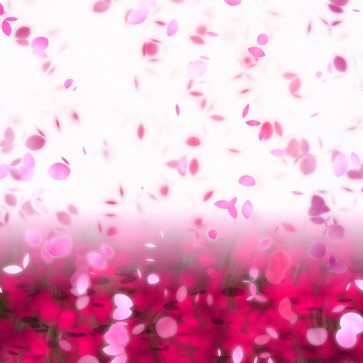 Photography Backdrops Red Pink Petals Flowers Background For Photo Studio