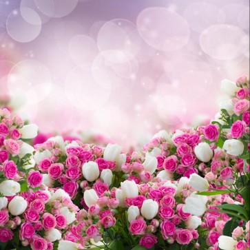 Photography Background Pink White Roses Flowers Backdrops For Photo Studio