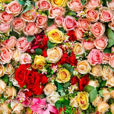 Pink Yellow Rose Flowers Wall Photography Background Backdrops