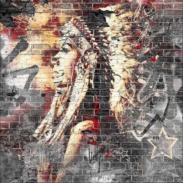 Indians Graffiti Photography Background Brick Wall Backdrops