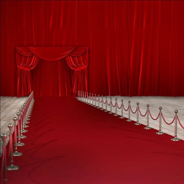 Photography Backdrops Curtain Red Carpet Background For Photo Studio