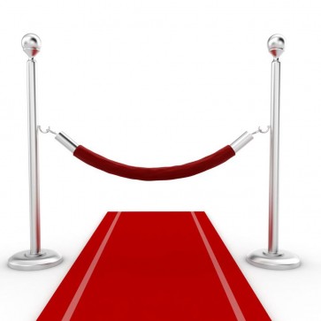 Photography Background Red Carpet Silver Guardrail Backdrops For Photo Studio