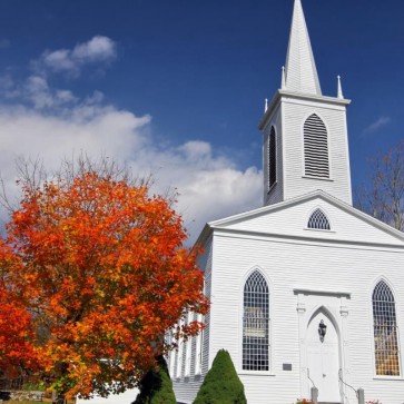 Blue Sky Architecture Photography Background Red Leaf Tree White Church Backdrops