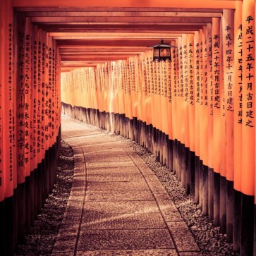 Photography Background Corridor Temple Architecture Backdrops For Photo Studio