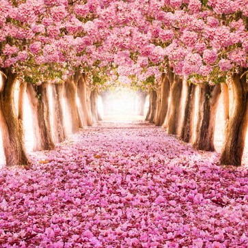 Flowers Photography Backdrops Pink Flower Trees Background For Wedding