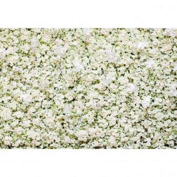 Flowers Photography Backdrops White Roses Flower Wall Background For Wedding