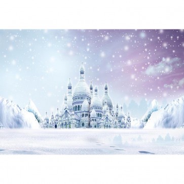 Cartoon Photography Backdrops Castle Ice And Snow Background For Children