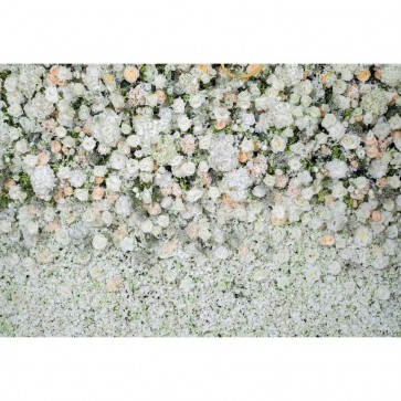 Flowers Photography Backdrops White Roses Wall Background For Wedding