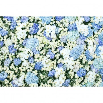 Flowers Photography Backdrops Blue White Roses Wall Background For Wedding