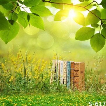 Nature Photography Backdrops Green Leaves Sunshine Book Grassland Background