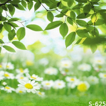 Nature Photography Backdrops Green Leaves White Flowers Background