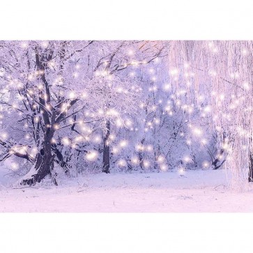 Nature Photography Backdrops White Light Spot Willow Trees Background