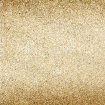 Grey White Texture Style Photography Background Rough Paper Style Backdrops