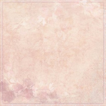 Old Master Photography Background Pastel Pink Petals Backdrops For Photo Studio