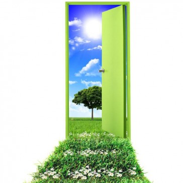 Green Door Grassland Blue Sky Flowers Abstract Photography Background Backdrops