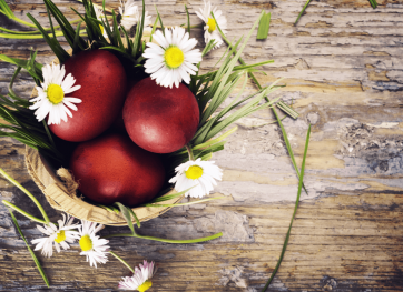 White Flowers Dark Red Easter Eggs Photography Background Wood Floor Backdrops