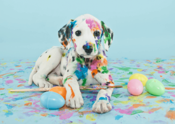 Photography Backdrops White Dog Painting Easter Eggs Background