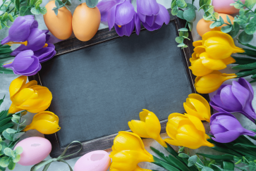 Flower Photography Backdrops Yellow Purple Tulip Easter Background