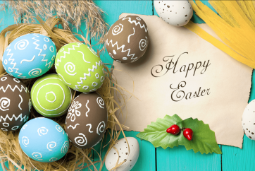 Nest Easter Eggs Photography Background Blue Wood Floor Backdrops