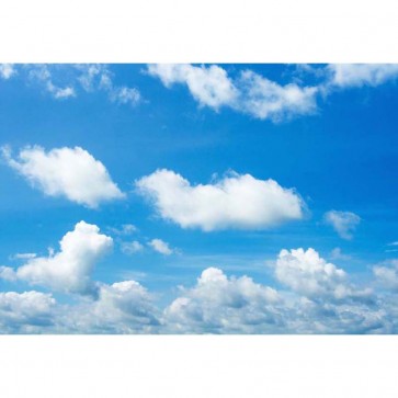 Tourist Photography Background High Blue Sky Clouds Backdrops