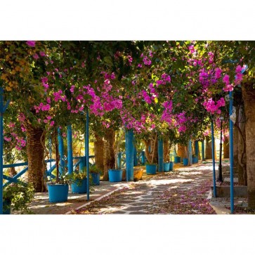 Photography Background Pink Flower Botanical Garden Street View Backdrops