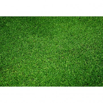 Sport Photography Background Green Lawn Backdrops For Photo Studio