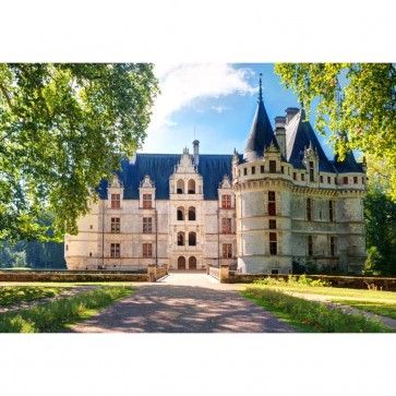 Photography Backdrops Blue White Castle Manor Tourist Background
