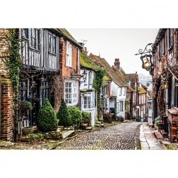 Street View Photography Background Classical Alleys Backdrops