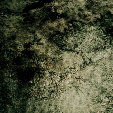 Photography Background Moldy Green Fabric Grunge Dilapidated Backdrops