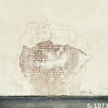 Photography Background White Grunge Dilapidated Brick Wall Backdrops