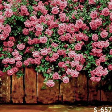 Photography Backdrops Pink Rose Flower Wall Background