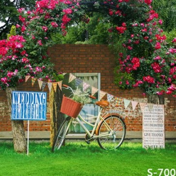 Photography Background Red Flower Bike Grass Street View Backdrops