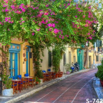 Photography Background Red Flowers Yellow Wall Tourist Backdrops