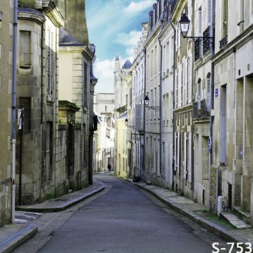 Photography Backdrops Alley White House Town Street View Background