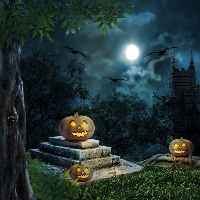 Photography Backdrops Pumpkin Lantern Castle Crow Jungle Halloween ...