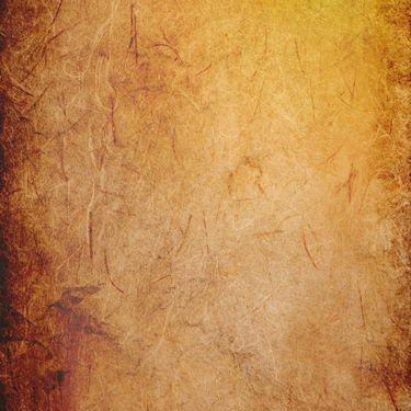 Photography Backdrops Golden Pattern Grain Old Master Background