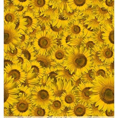 Sunflower wall clearance