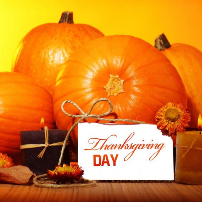 Pumpkin Thanksgiving Day Photography Background Orange ...
