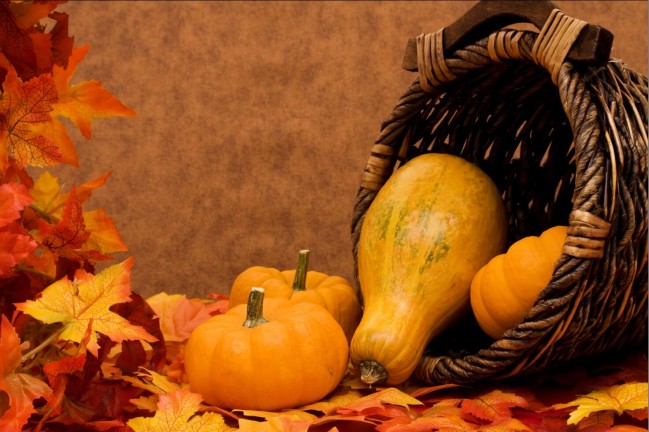 Pumpkin Red Leaves Basket Photography Backdrops ...