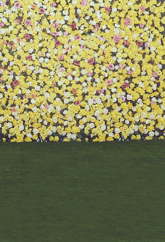 Flowers Photography Background White Yellow Roses Flower Wall Lawn