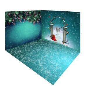 Christmas Holly Christmas Cartoon Photography Background Snowflakes Lake Blue Backdrops Set