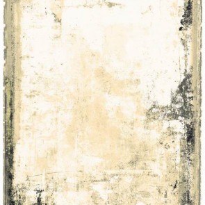 Grunge Dilapidated Photography Background White Grey Backdrops