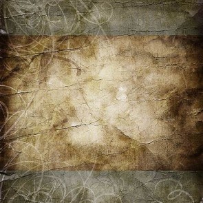 Grunge Dilapidated Photography Background Crevasse Crack Brown Wall Backdrops