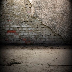 Grunge Dilapidated Photography Background Crevasse Crack Brick Wall Backdrops